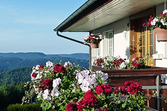 Herrlicher Blick auf den Schwarzwald